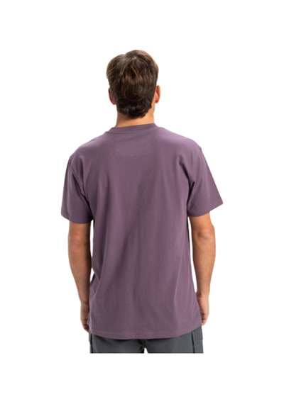 Quıksılver Quiksilver Ev Mini Logo Erkek Mor Tişört Pqc0 Mor