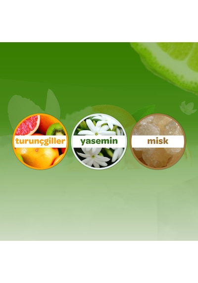 Dalin Bebek Kolonyası 150ml Orman Esintisi 3 Lü Set