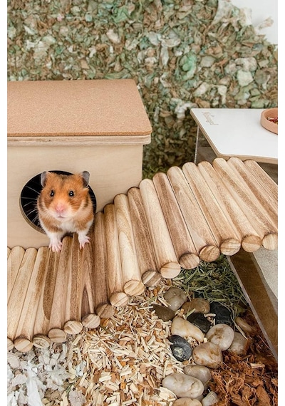 30cm X 12cm Hamster Gerbil Fare Sıçan Gine Domuzu Veya Diğer Küçük Hayvanlar Için Köprü Merdiveni