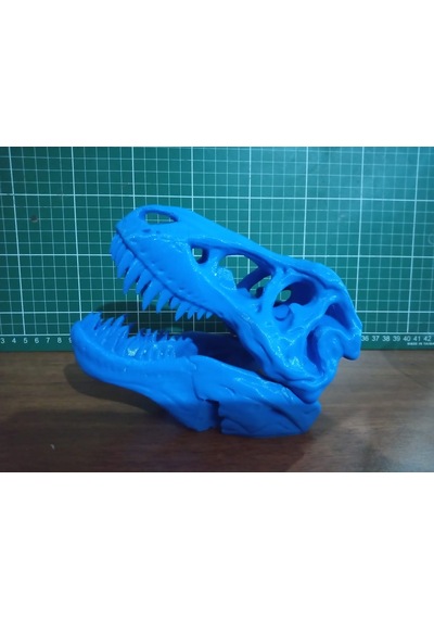 Trex İskelet Kuru Kafa Biblo Heykel