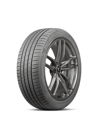 Delinte 255/40R18 99W XL DST1 Yaz Lastiği 2025
