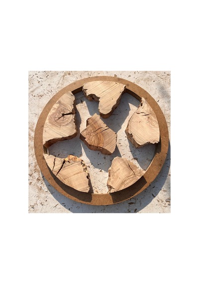Ham Zeytin Ağacı Planyalanmış Epoksi İçin Doğal Ahşap Parçaları Çap 30 Cm Kahverengi Kahverengi