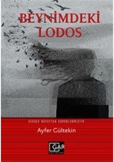 Beynimdeki Lodos / Ayfer Gültekin