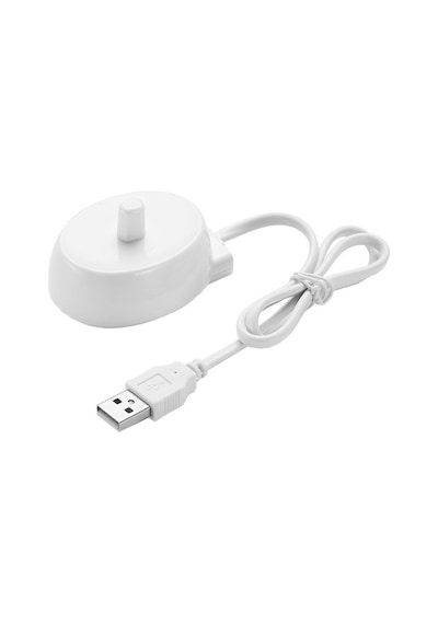 D12, D16, D10, P2000, P4000, P6000 Ve D34 İle Uyumlu Elektrikli Diş Fırçası Usb Şarj Cihazı