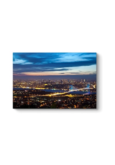 İstanbul Panorama Tablosu 45 X 30