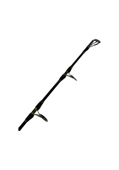 Eurofish Power Jig 160cm 2 Parçalı Bot/tekne Kamışı 1