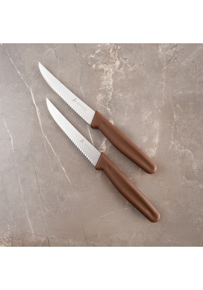 Aryıldız Daily Steak Bıçak 2 Li Kahverengi Çok Renkli