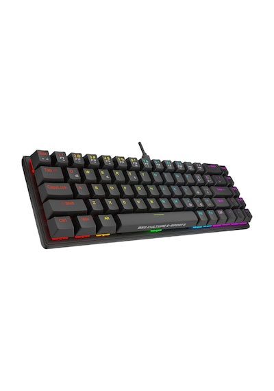 BSG Culture E-Sports Spectre Mekanik Oyuncu Klavyesi - 68 Tuşlu Red Switch RGB Hotswap Türkçe Q TKL