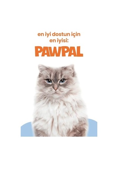 Düşük Tahıllı Yavru Kedi Tavuklu Pouch 85 Gr X 24 Adet 100 G