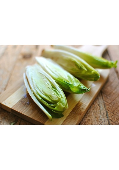 Sugar Loaf Endive Tohumu Hindiba