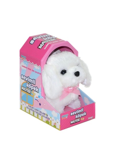 Bay 47100 Sevimli Köpek Maltese Najmaddin