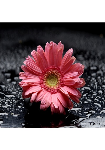 Spa Taşları Ve Kırmızı Gerbera Çiçeği Doğal Taş Bardak Altlığı 4'lü Set - Natural Stone Coasters - Taş Çok Renkli