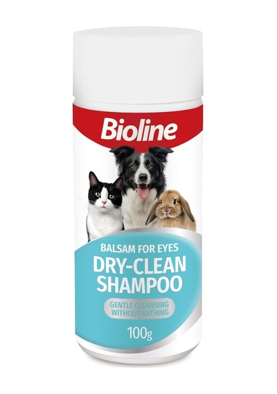 Kuru Toz Şampuan 100 G