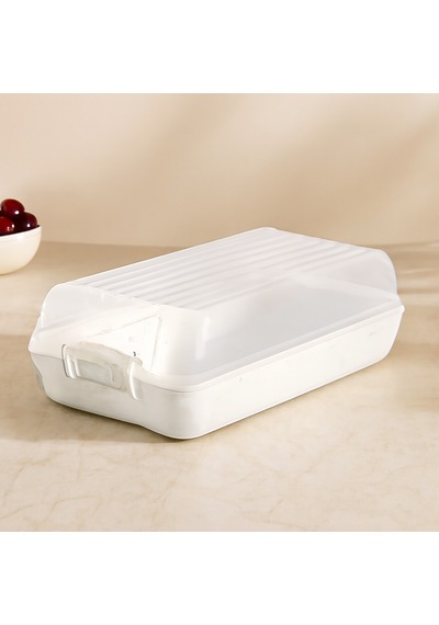 Şeffaf Kapaklı Buzdolabı Organizeri 320x183x103 Mm Çok Renkli