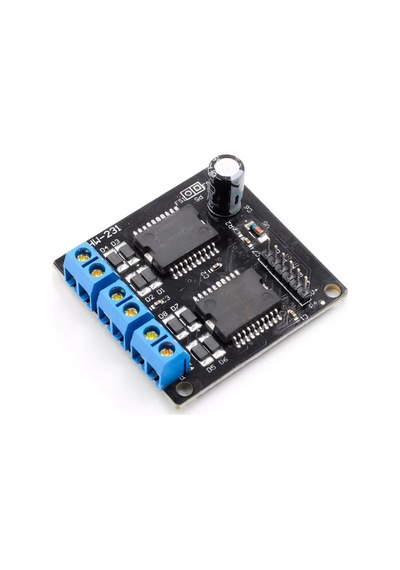 Çift Mc33886 Modül