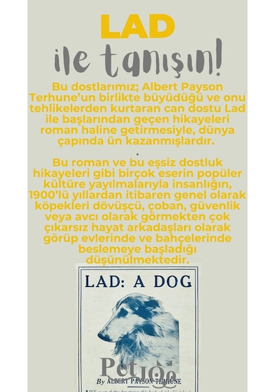Petjoo 23.Lad Gri-Sarı Qr'lı Köpek Künyesi
