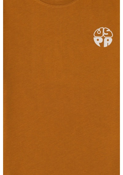U.S. Polo Assn. Erkek Çocuk Coconut Comfort Basic Bisiklet Yaka Tişört 50295503-VR153 U.S. Polo Assn. Erkek Çocuk Coconut Comfort Basic Bisiklet Yaka Tişört 50295503-VR153