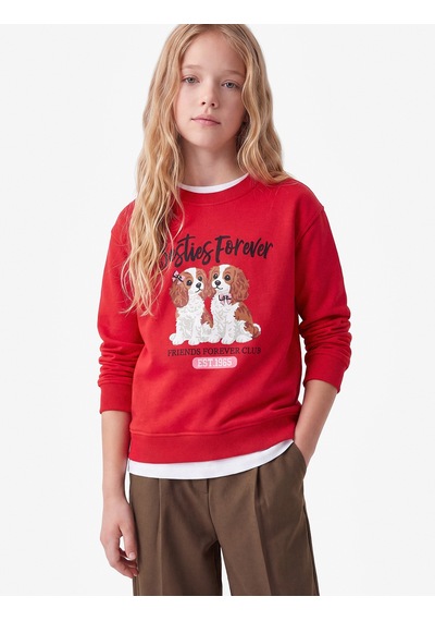 Koton Köpek Baskılı Uzun Kollu Bisiklet Yaka Üç İplik Şardonlu Sweatshirt Kırmızı 7wkg10256ak Koton Köpek Baskılı Uzun Kollu Bisiklet Yaka Üç İplik Şardonlu Sweatshirt Kırmızı 7wkg10256ak