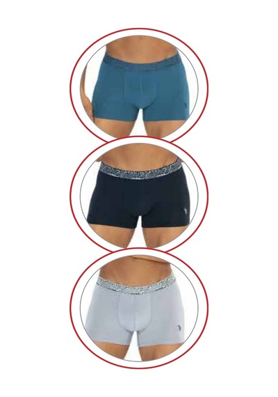 U.S. Polo Assn. U.s Polo Assn. 80543 Erkek Pamuklu 3'lü Boxer-lacivert&indigo&gri Lacivert&indigo&gri