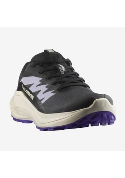 Salomon Alphaglıde W Kadın Patika Koşusu Ayakkabısı L47801800 L47801800 Ant Antrasit