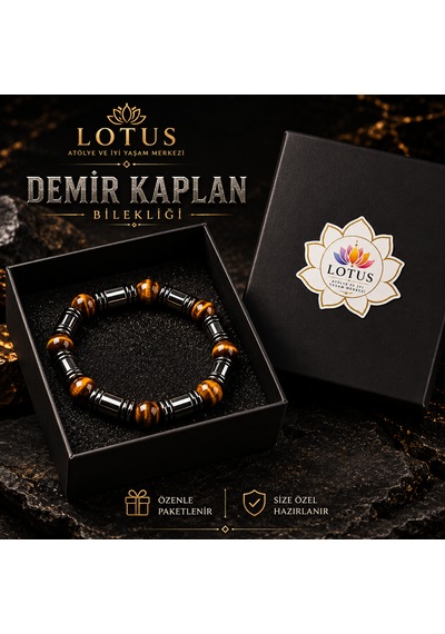 Demir Kaplan Bilekliği Kaplan Gözü, Boru Hematit & Disk Hematit