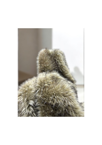 Zp Ithal Rakun Desen, 1500 Gr Highend Peluş Kumaş, Yapay Kürk Yüksek Kalite 50x150 Cm Ev Tekstili Çok Renkli Çok Renkli Zp Ithal Rakun Desen, 1500 Gr Highend Peluş Kumaş, Yapay Kürk Yüksek Kalite 50x150 Cm Ev Tekstili Çok Renkli Çok Renkli