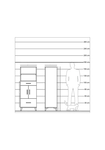 Hyperion Dolap 2 Raflı 2 Çekmeceli 2 Kapaklı 60x44x163 Antrasit-antrasit Antrasit