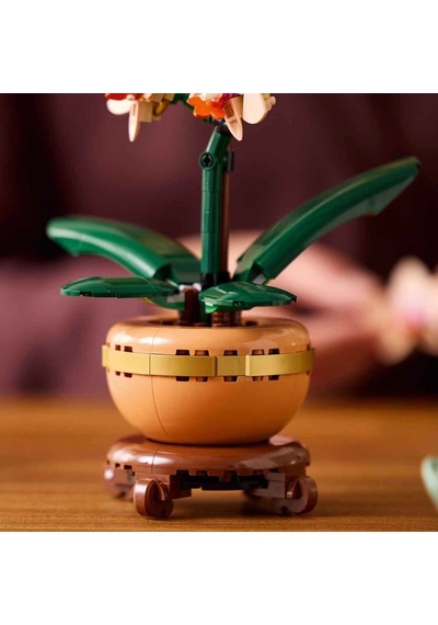 Botanicals Mini Orkide 10343 Standart