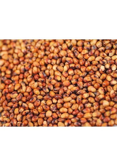 Sorgum Sudan Otu Tohum 1 Kg