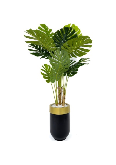 Yapay Monstera Ağacı Deve Tabani 170 Cm Si Yah Gold Darbuka Saksıda Siyah Gold
