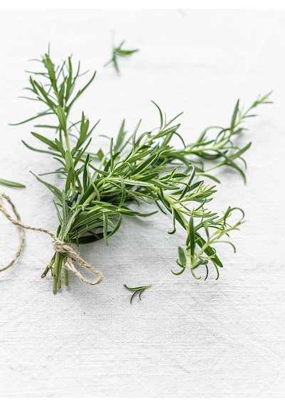 Intense Natural Saf ve Doğal Rosemary Essential Oil Biberiye Uçucu Yağı 20 ML