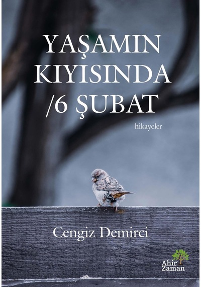 Yaşamın Kıyısında / 6 Şubat - Cengiz Demirci