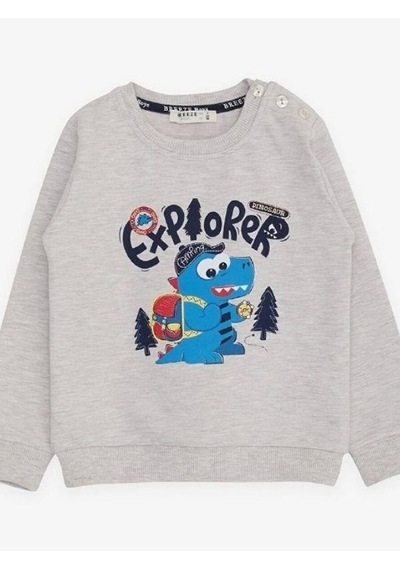 Breeze Erkek Çocuk Explorer Yazılı Dinazor Baskılı Sweatshirt-14677 Gri