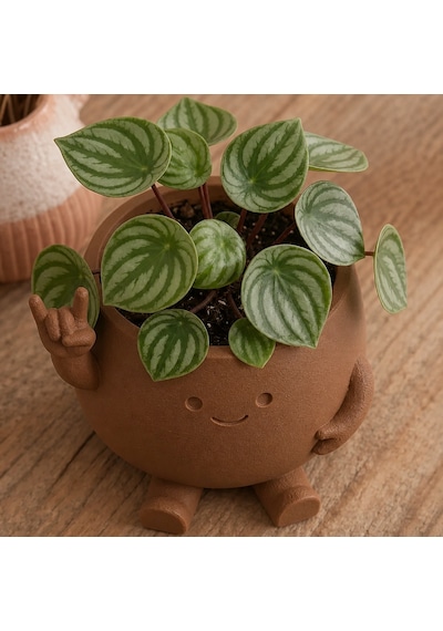 3d Baskı Smiley Face Planter - Gülümseyen Karakterli Saksı-kahverengi