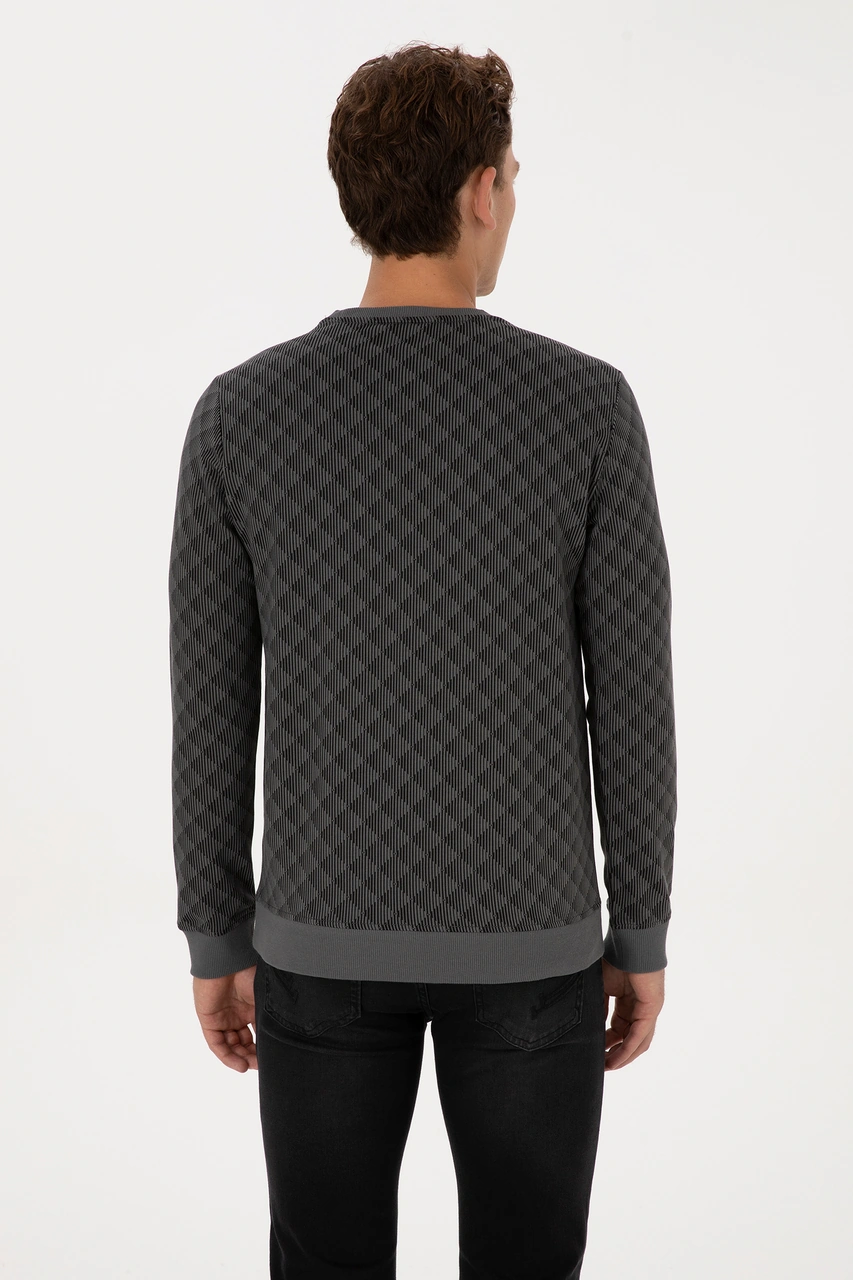 U.S. Polo Assn. Erkek Regular Fit Bisiklet Yaka Antrasit Sweatshirt 50309993-VR006