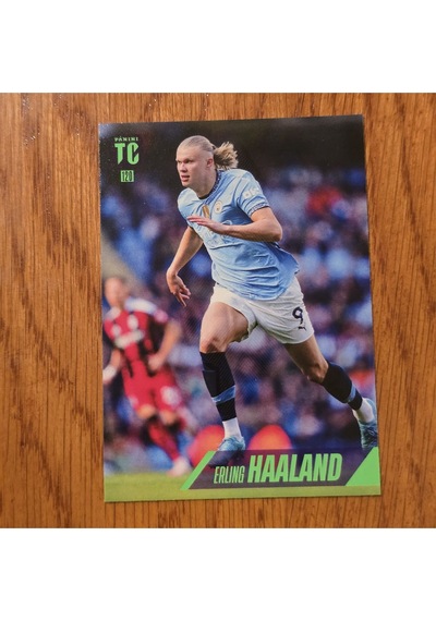 Top Class Erling Haaland Oyuncu Kartı 120