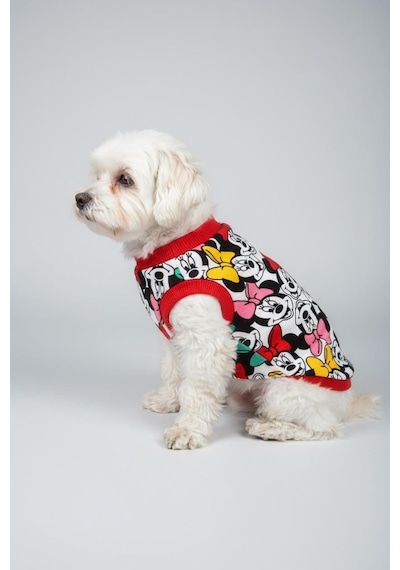 Miniş Minnie Küçük Irk Köpek T-shirt Esnek Pamuklu Penye-21572 Miniş Minnie Küçük Irk Köpek T-shirt Esnek Pamuklu Penye-21572