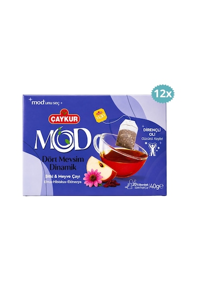Çaykur Dört Mevsim Dinamik Süzen Poşet Çay 40 G X 12 Adet