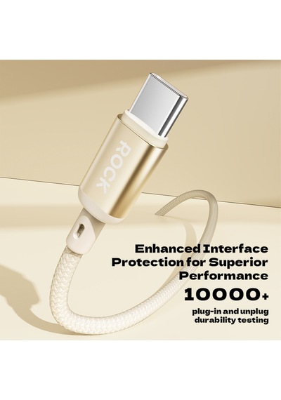 R18 100w Type-c To Type-c 5a Pd 1m Şarj Ve Data Kablosu Gold
