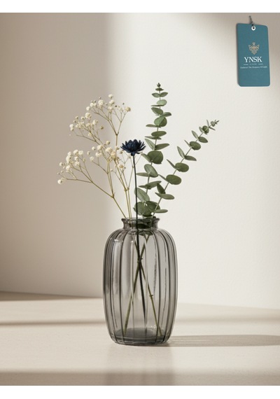 Chacha Home Modern 3'lü Minimalist Cam Çiçek Vazosu Dekoratif Masa Üstü Vazo Seti Füme
