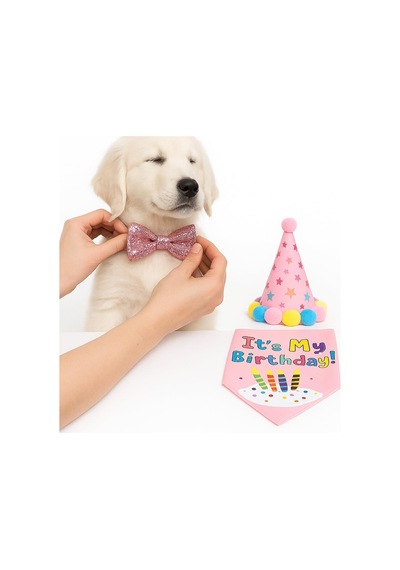 Köpek Kedi Doğum Günü Seti Bandana Şapka Afiş Parti Dekorasyonu, Şapyon Tasma Aksesuarı, Erkek Pembe