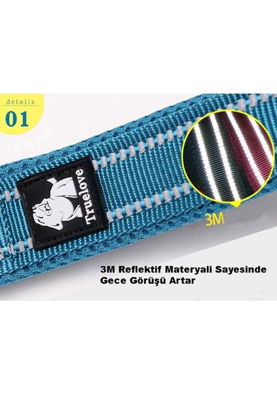 Yumuşak Süngerli Siyah Tasma Kayışı Xs