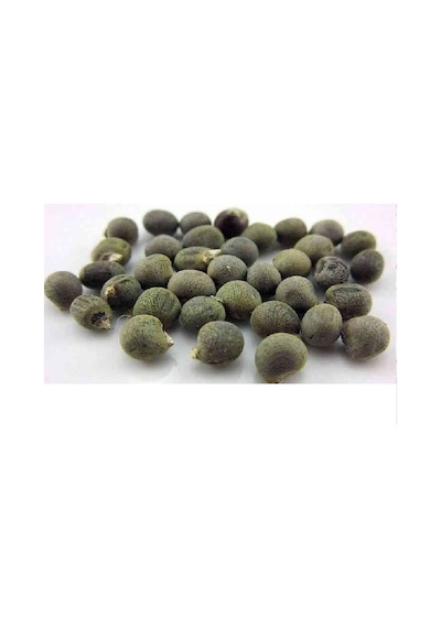 Lokman Aktar Bamya Tohumu 1 KG