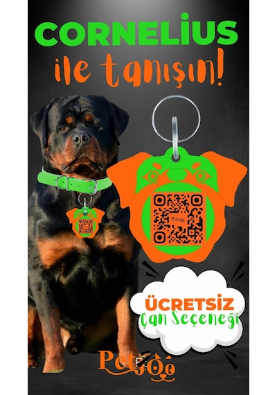 Petjoo 20.Cornelius Turuncu-Yeşil Qr'lı Köpek Künyesi