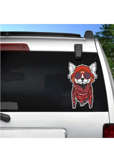 Gözlüklü Kedi Sticker - Araba Oto Motosiklet Karavan Cam Araç Sticker - 00296 15x9 Cm