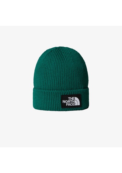 The North Face Logo Box Cuffed Unisex Yeşil Bere Nf0a8chenl11 Yeşil