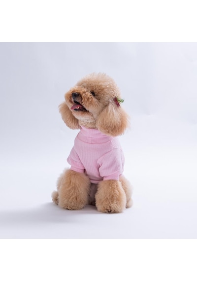 Pembe Teddywood Ayıcık Nakışlı Esnek Sıcak Tutan Köpek Sweati Köpek Kıyafeti Kedi Kıyafeti