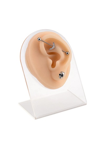 Silikon Sol Kulak Piercing Eğitim Modeli Gerçekçi 3d Kulak Modeli - Standlı