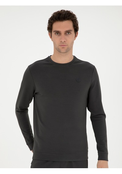 Antrasit Regular Fit Bisiklet Yaka Sweatshirt Gri