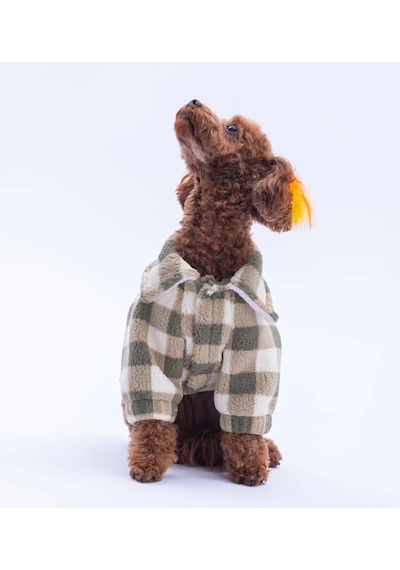 Pawstar Yeşil Chicago Checks Küçük Irk Köpek Pofuduk Ceket